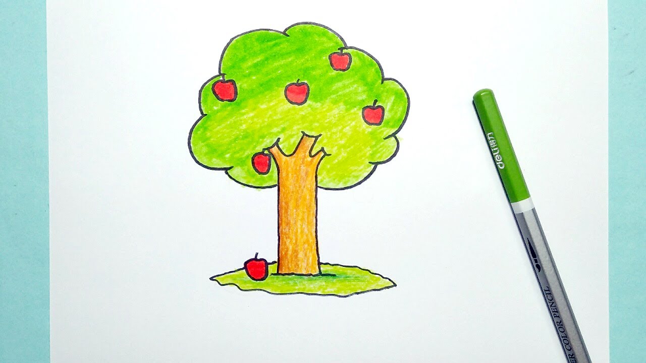 How To Draw Apple Tree | Simple and Easy to follow - YouTube