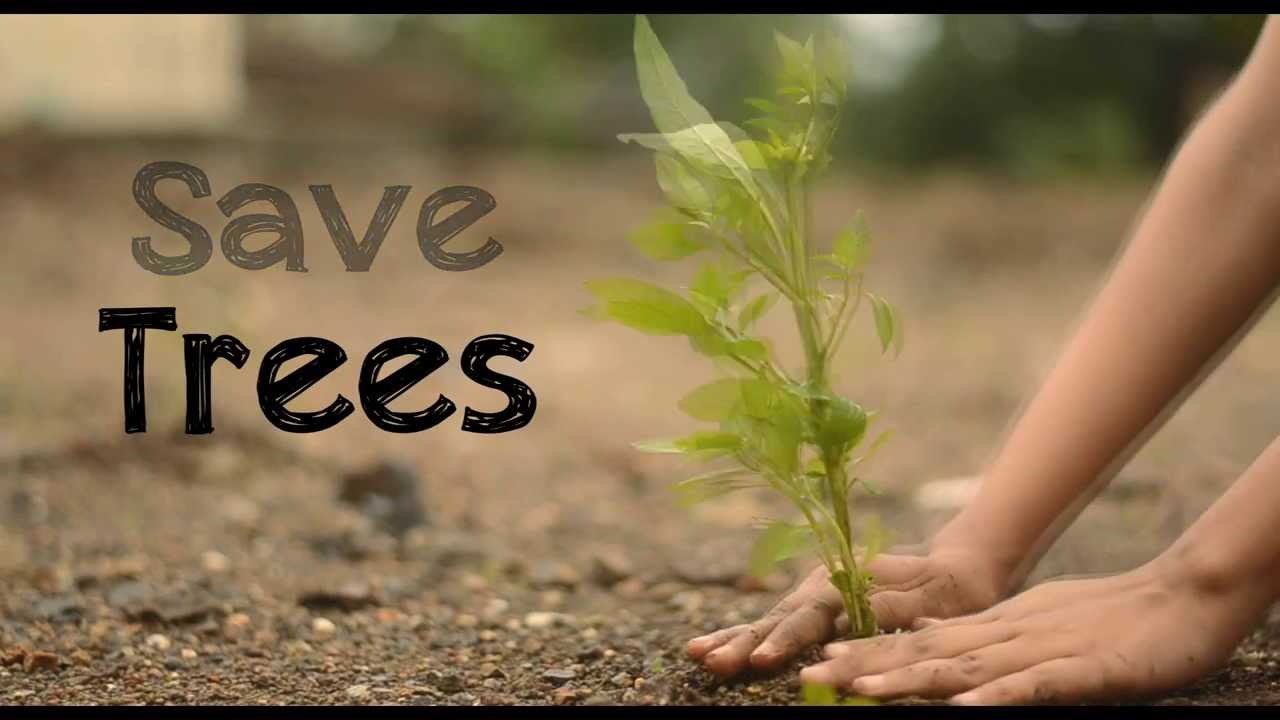 Save Trees Ad- Vat Purnima - YouTube