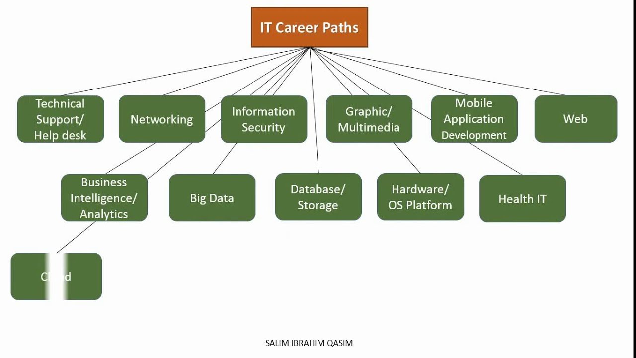 Career paths information technology – Telegraph