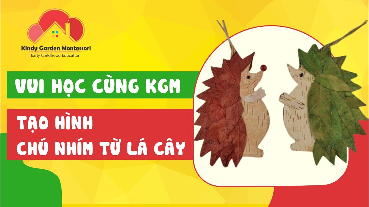 Hướng dẫn tạo hình chú Nhím từ lá cây - Trường Mầm non Kindy ...