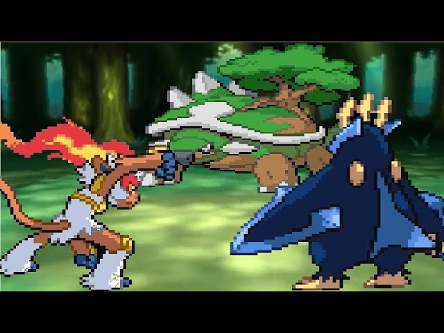 Empoleon Infernape And Torterra