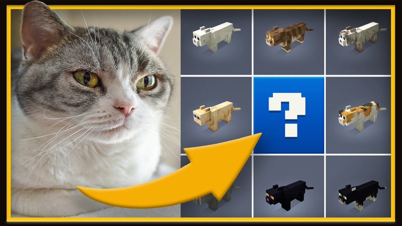 Breed Cats Minecraft