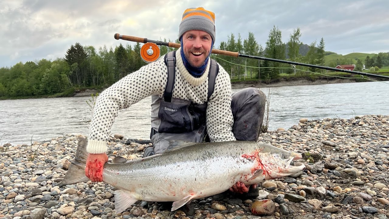 40 pounder salmon! Flyfishing for big salmon at Gaula, Nedre Løberg ...