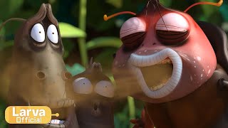 smell animation comlication larva tuba official