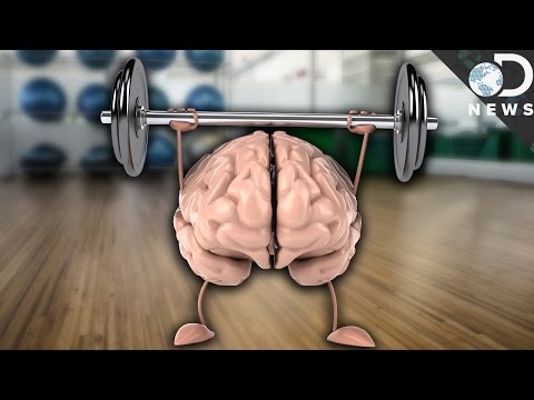 How Exercise Improves Your Memory