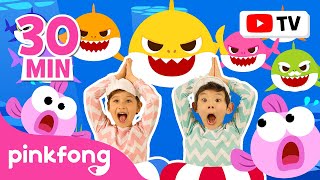 best of the best dance along series for kids baby shark dance 2024 special official pinkfong