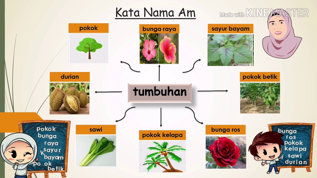 Contoh Kata Nama Khas Tumbuhan - IMAGESEE