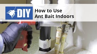 How to Use Ant Bait Indoors