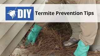 Termite Prevention Tips