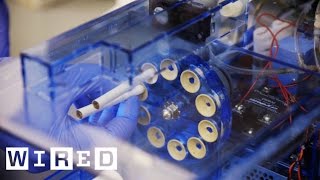 This Robot Chain Smokes Cigarettes So Rats Don't Have To | WIRED