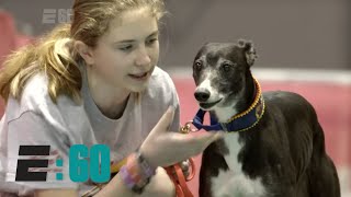 E:60  Meet The Michael Jordan of Dogs