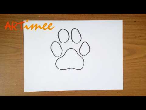 How to Draw a Paw Print