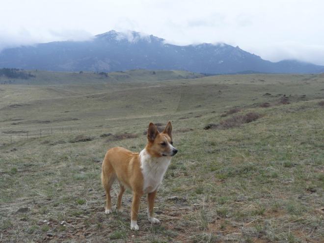 The clouds lift momentarily as Lupe leaves Laramie Peak behind.