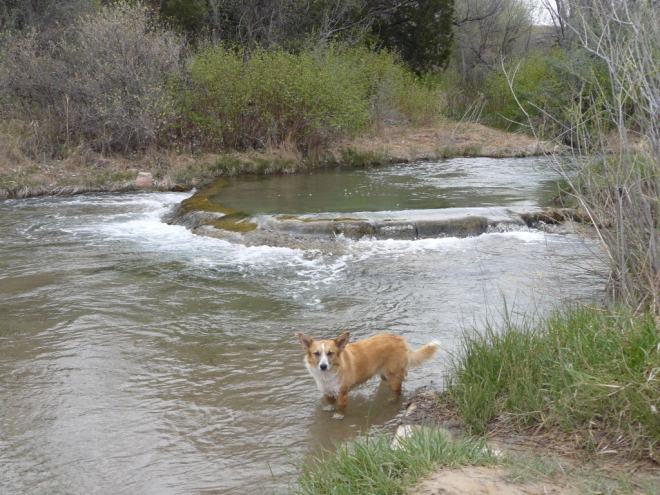 Lupe in the warmish mineral waters just upstream of Cascade Falls.