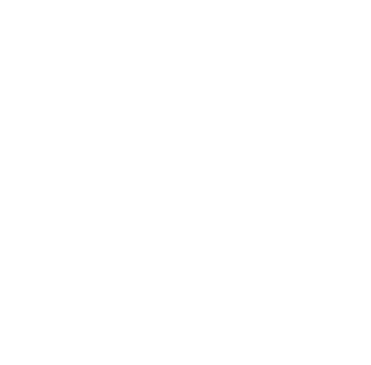 Afshin Amini