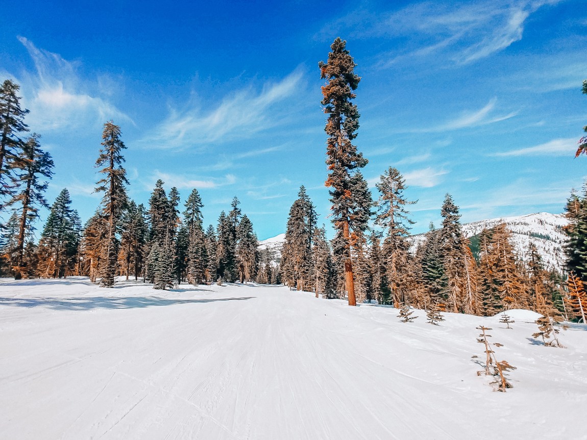 Spring break in South Lake Tahoe