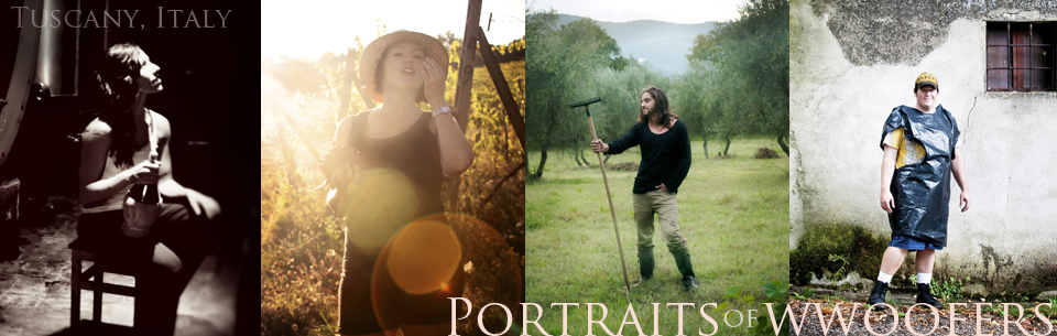 Photographs of people WWOOFing in a Tuscan Vineyard.