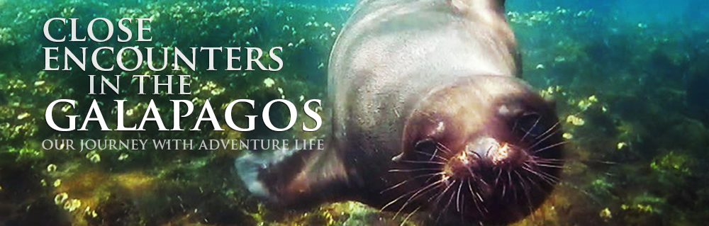 galapagos-header