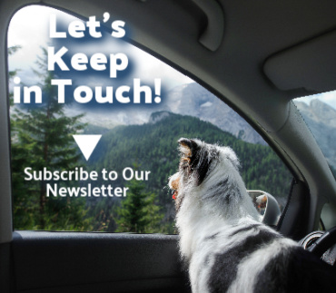 Subscribe to Bothell Pet Hospital's Newsletter