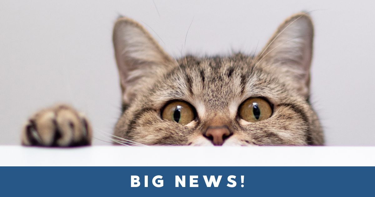 Bothell Pet Hospital has big news!