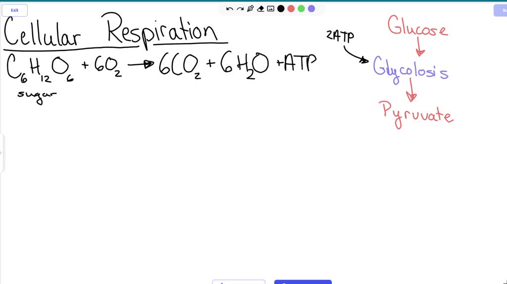 Review The Overall Equation Of Cellular