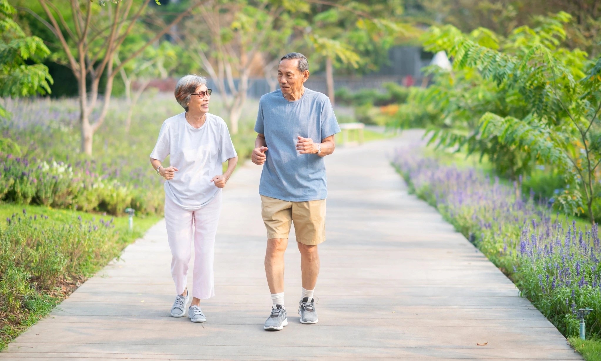 Elderly people are at high risk of contracting pneumonia