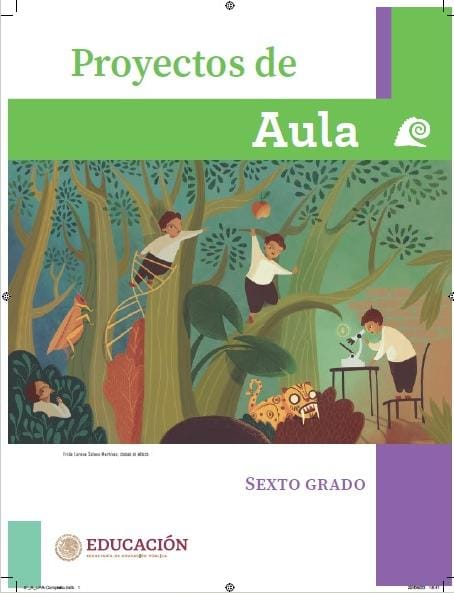 Libro De Texto Proyectos De Aula 6to Grado - Image to u