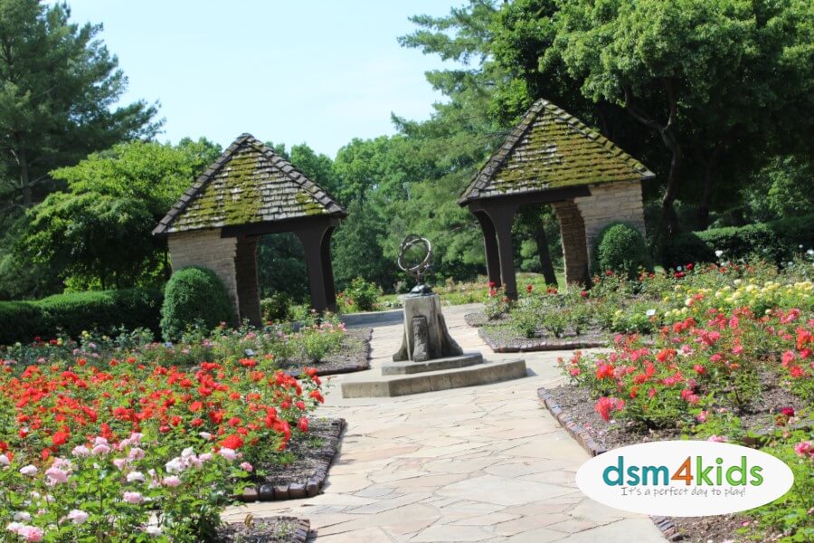 Des Moines Kids Can Stop and Smell the Roses at the Clare and Miles Mills Rose Garden