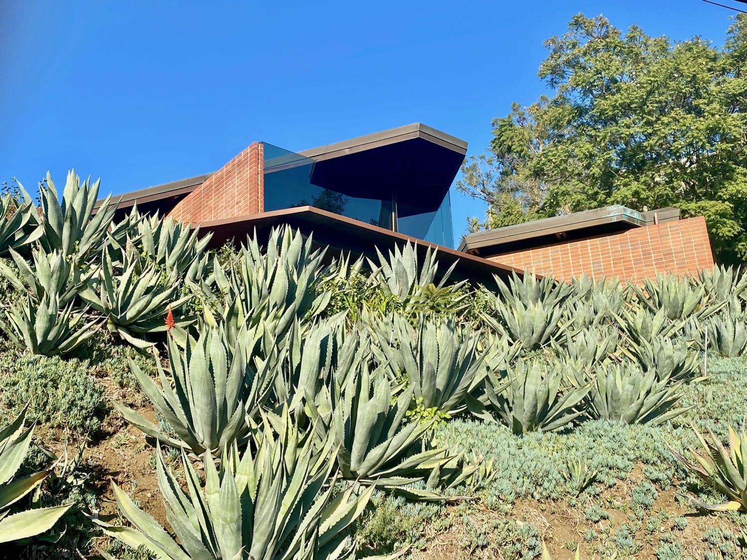 #98: John Lautner’s Foster Carling House (Hollywood Hills)