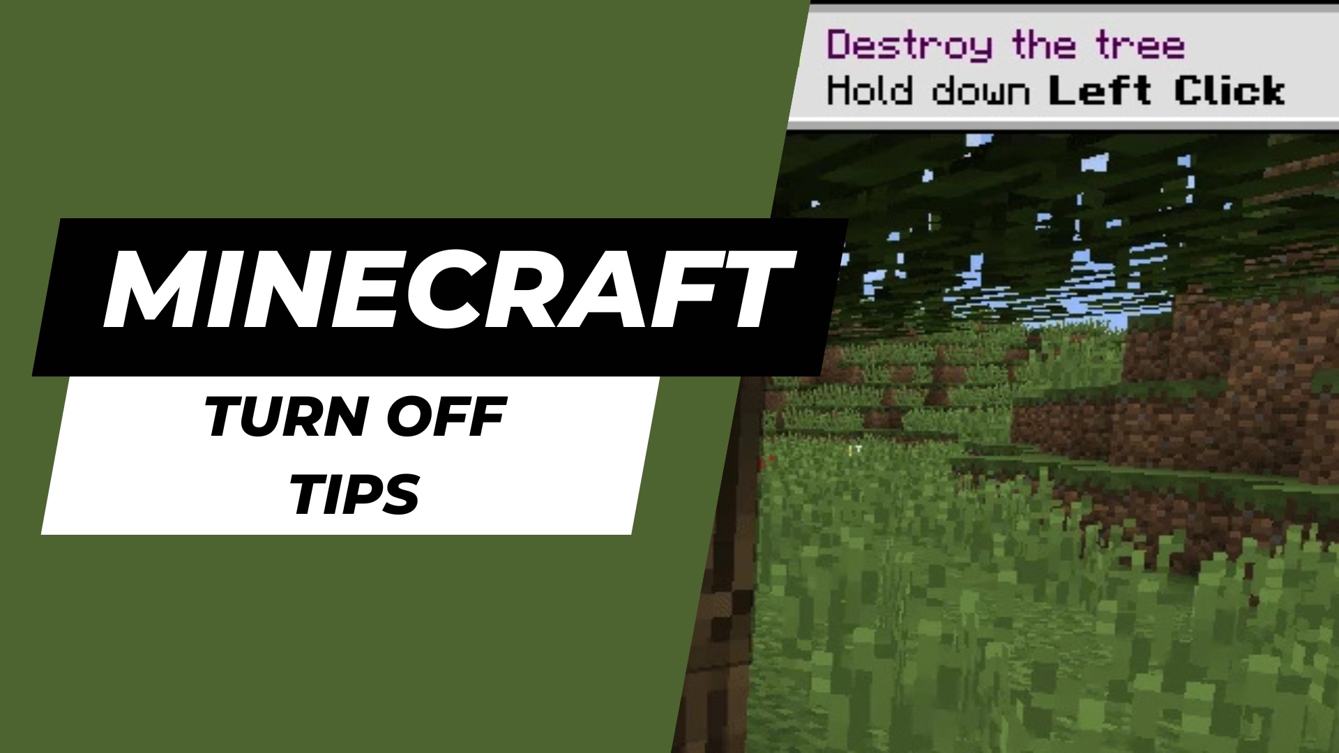 Minecraft How to turn off tips