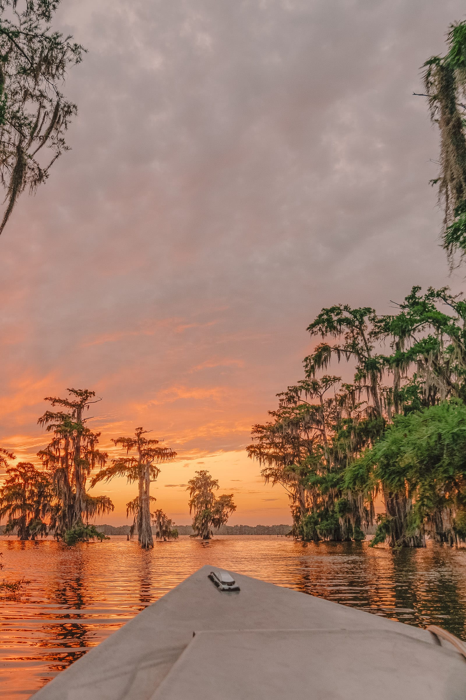 Best places in Louisiana to visit Louisiana Bayou Swamp