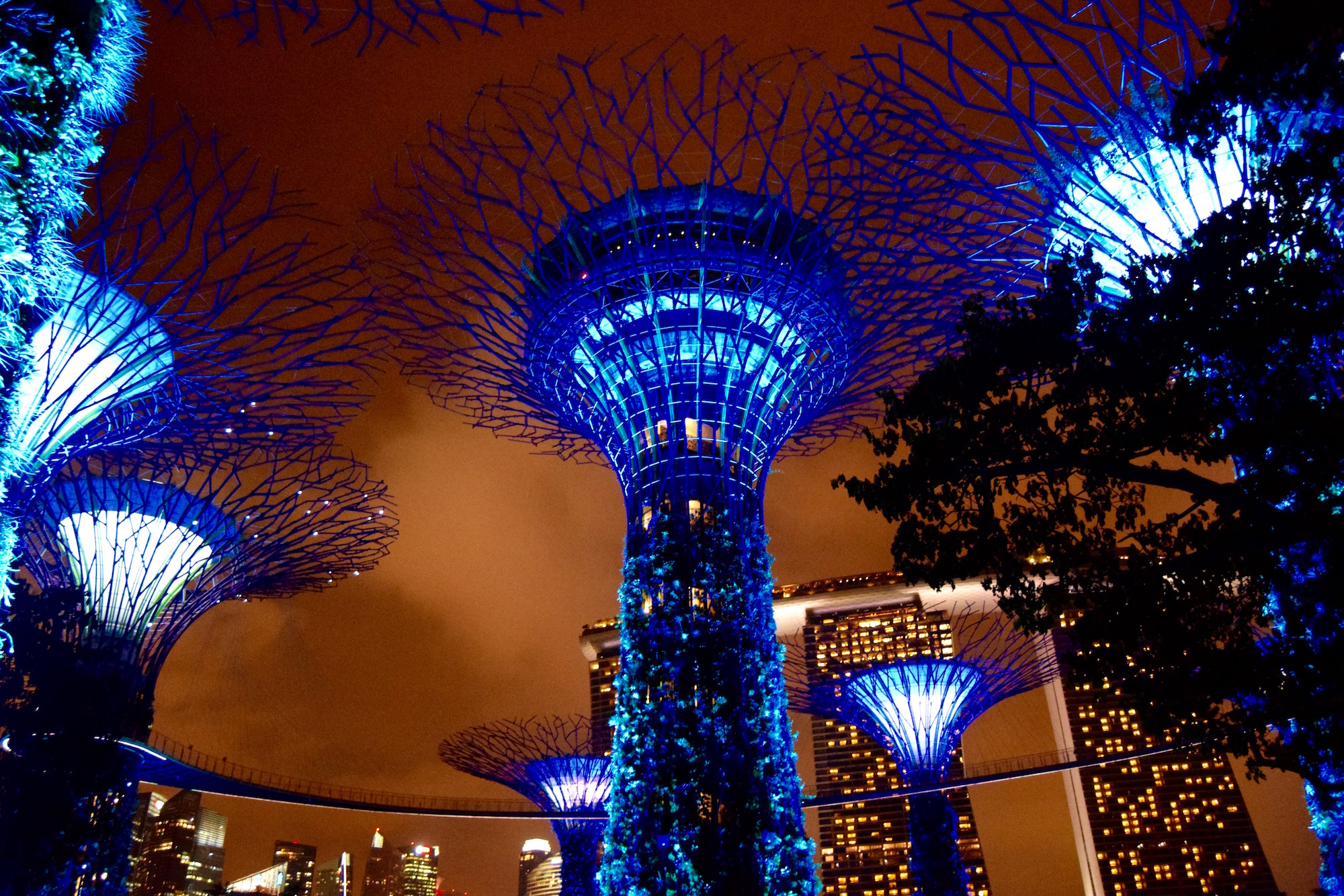 Singapore Supertrees