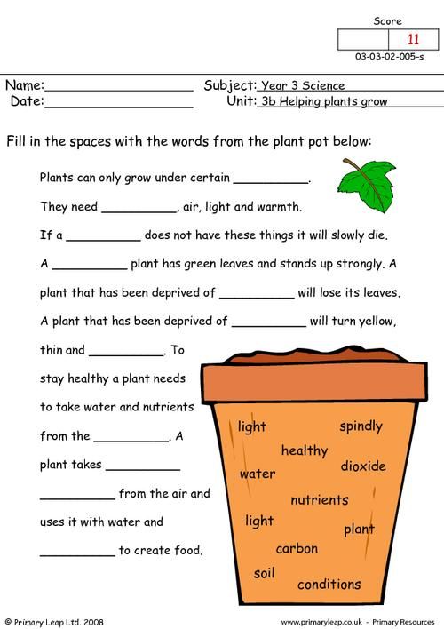 primaryleapcouk how do plants grow worksheet science lessons