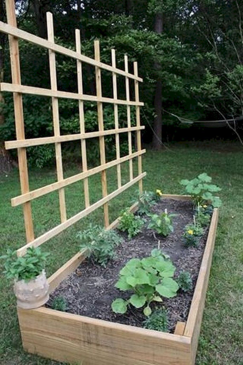 Garden Ideas for Inspiration