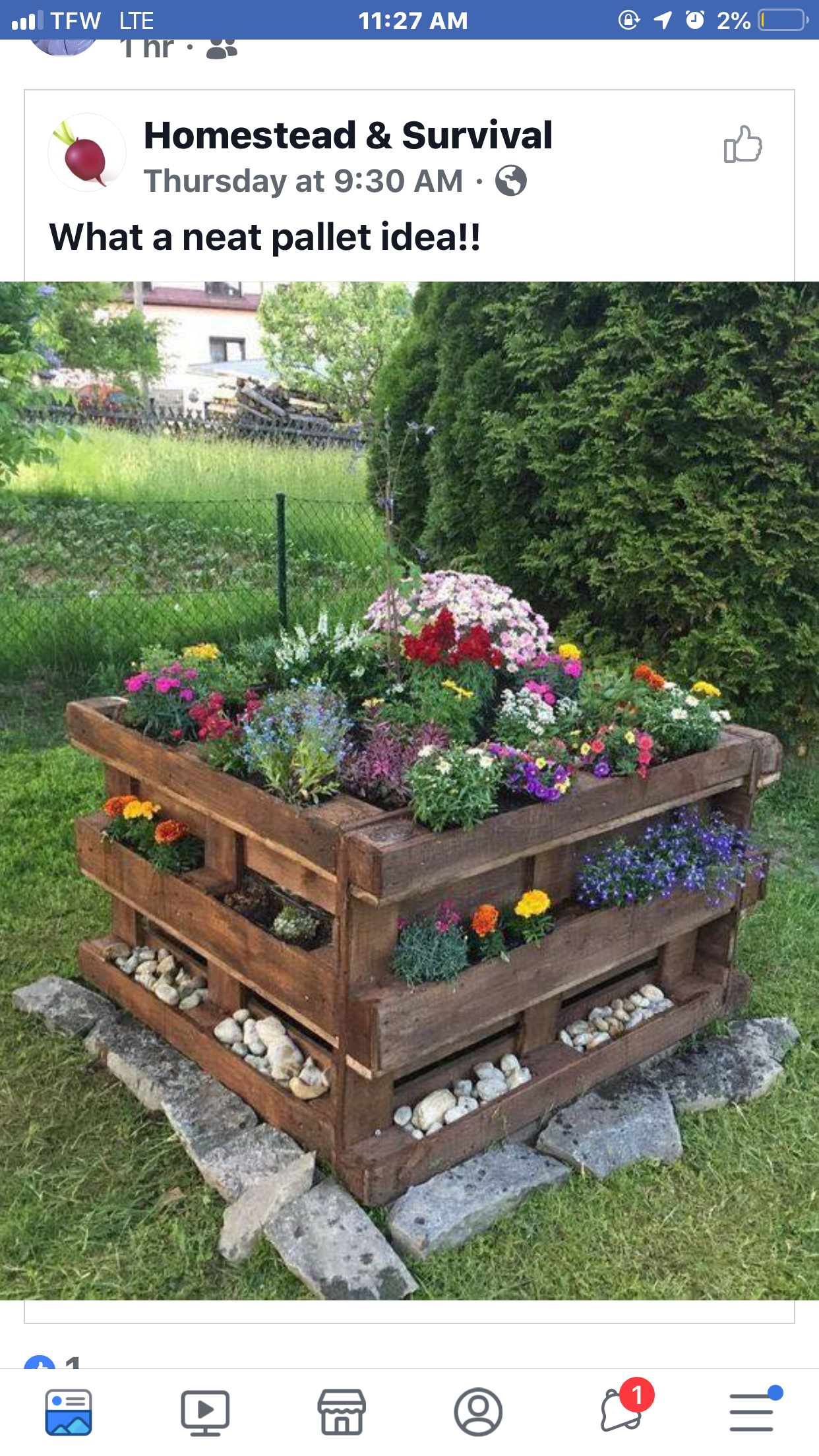 Raised garden bed with border