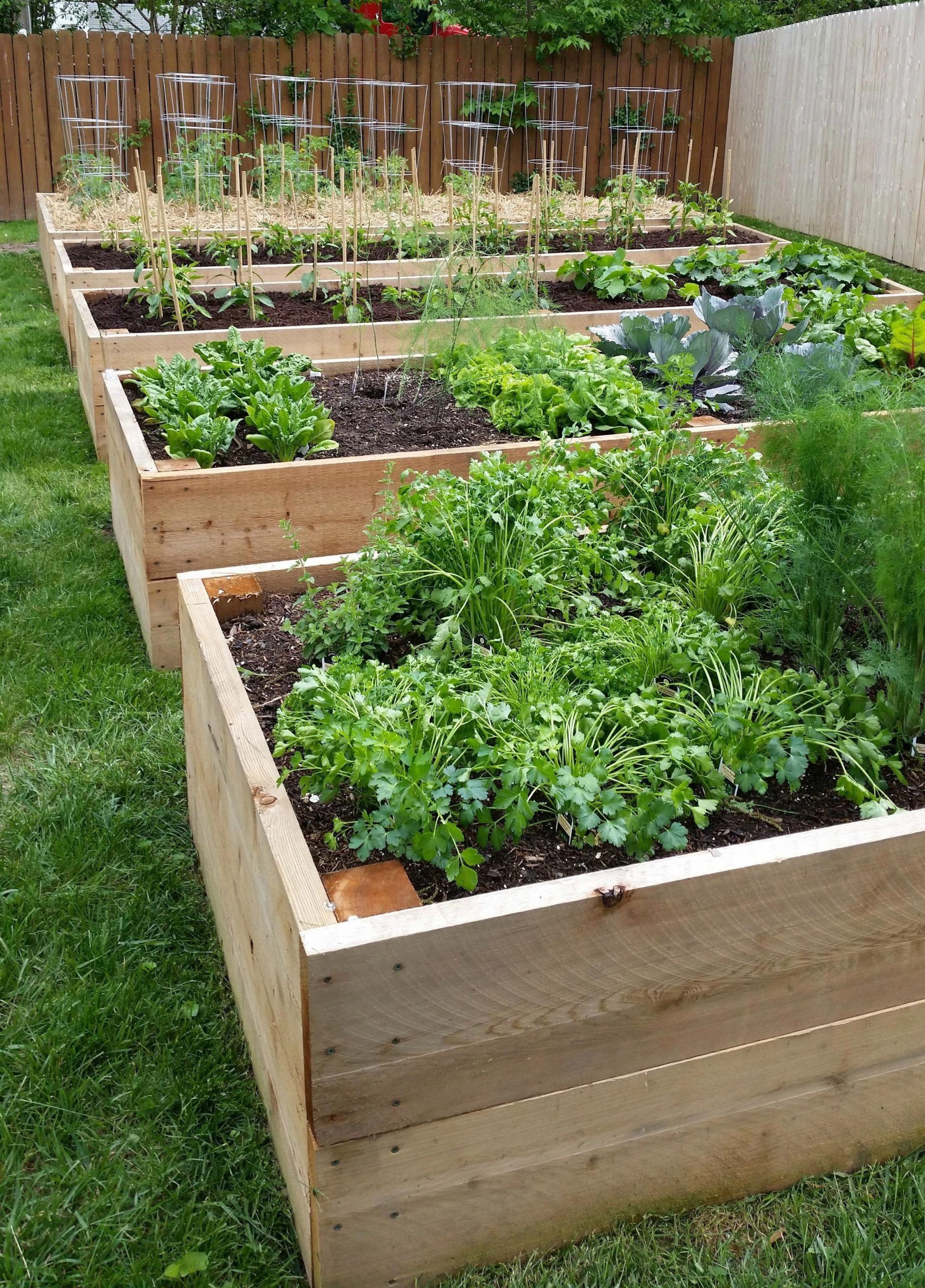 My raised garden bed build