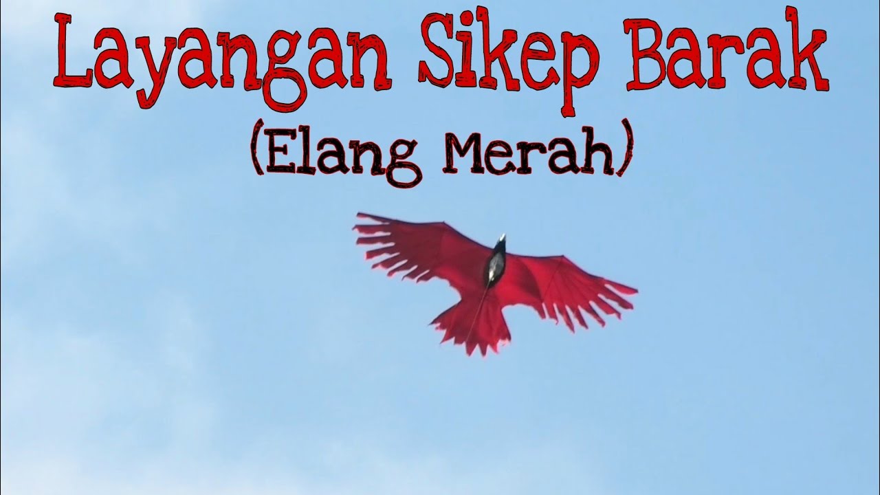 Ini menyebabkan nilai ringgit meningkat kepada anggapan nilai … Layangan Kedis Sikep Burung Elang Merah Youtube