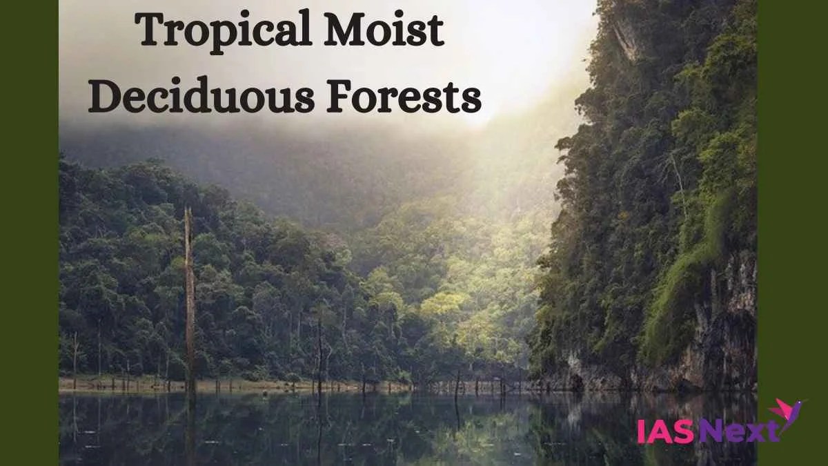 Tropical moist deciduous forests are one of the most common forests in India. Tropical deciduous forest, also known as “Monsoon Forest”.....