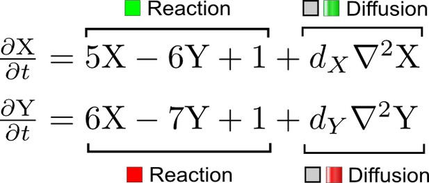 High Throughput Mathematical Ysis