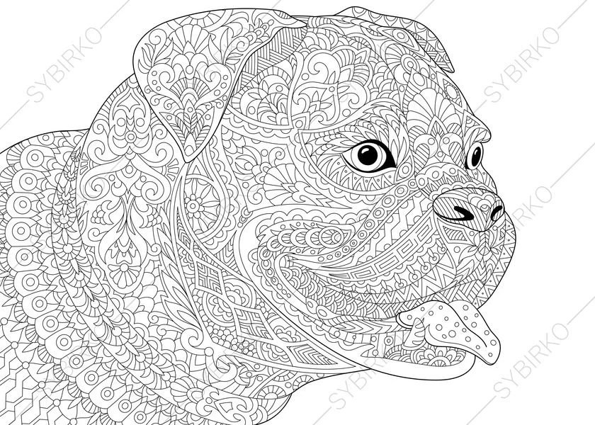 Bulldog. Boxer Dog. Coloring Page for National Pet day