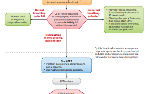 Cpr Cheat Sheet 2021 The Bls Cheat Sheet – Otosection