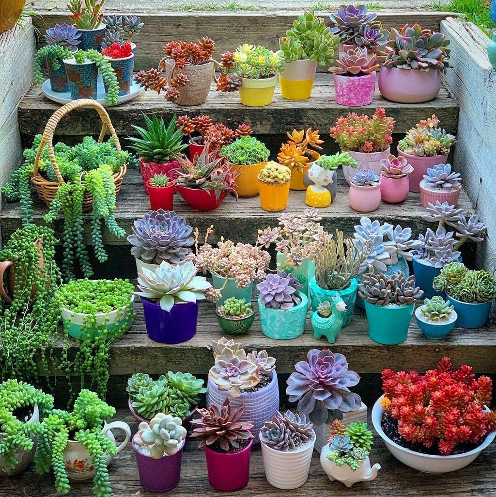 Beautiful Outdoor Succulent Planter Ideas 01