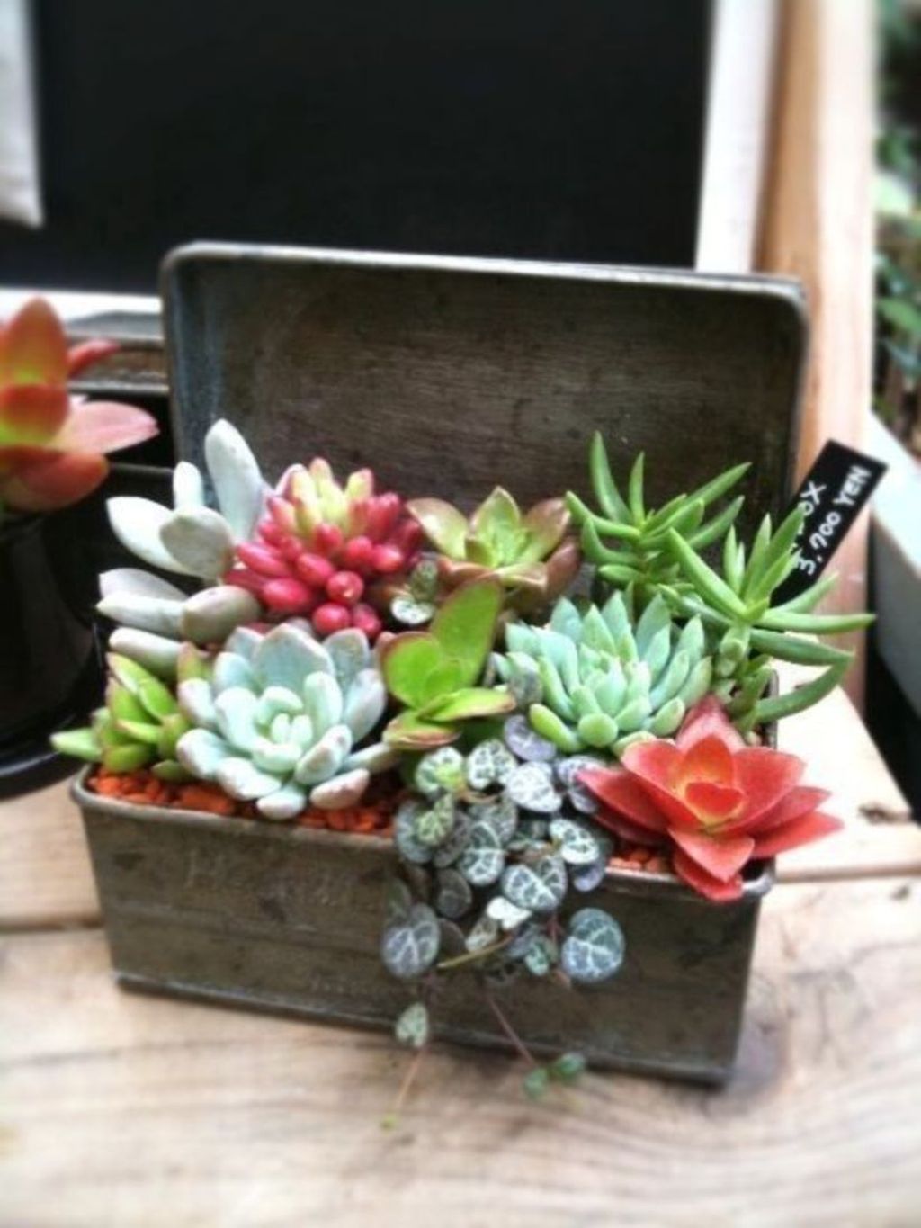 Beautiful Outdoor Succulent Planter Ideas 05