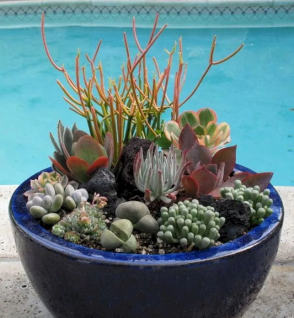 Beautiful Outdoor Succulent Planter Ideas 10