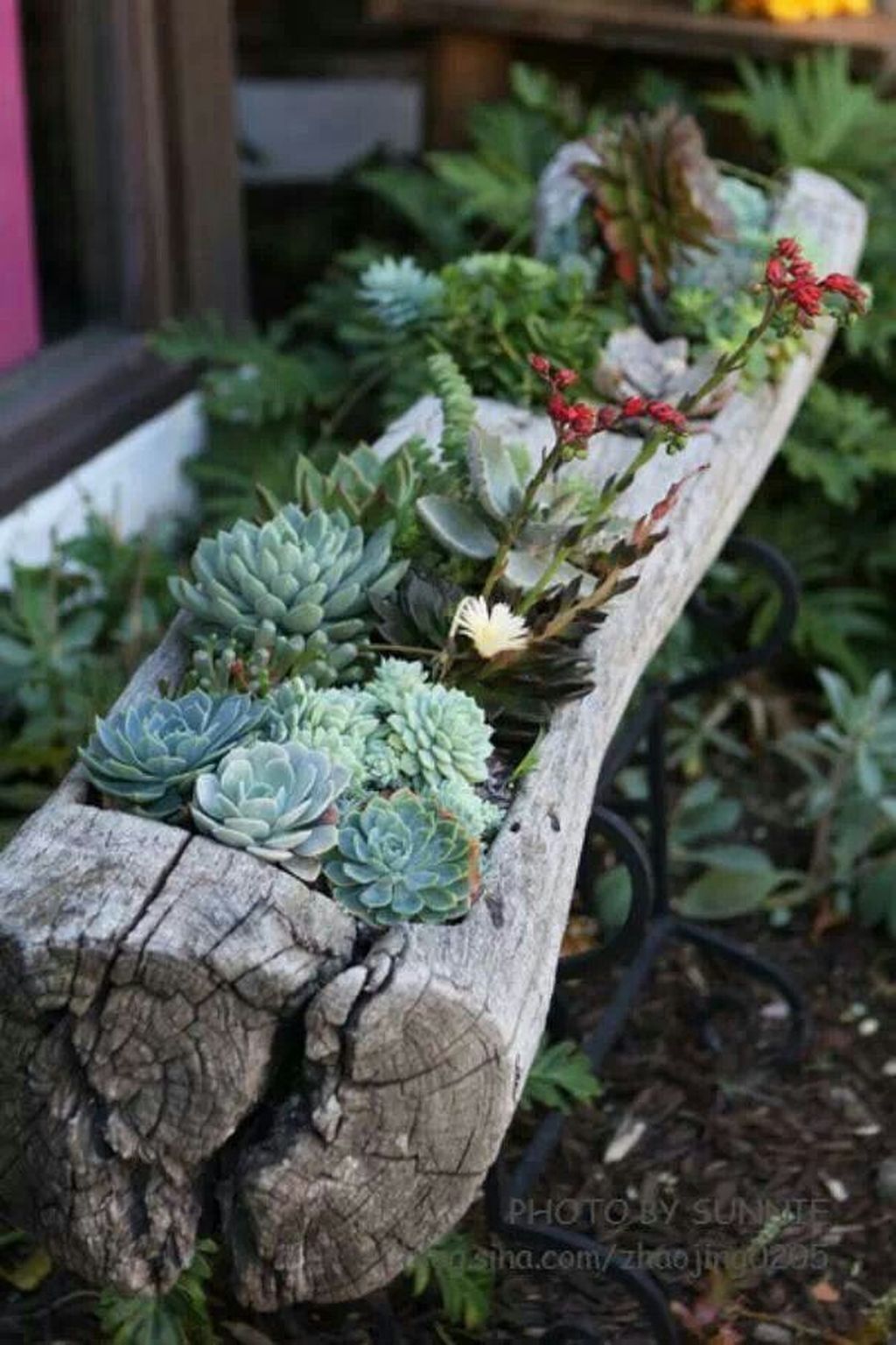 Beautiful Outdoor Succulent Planter Ideas 13