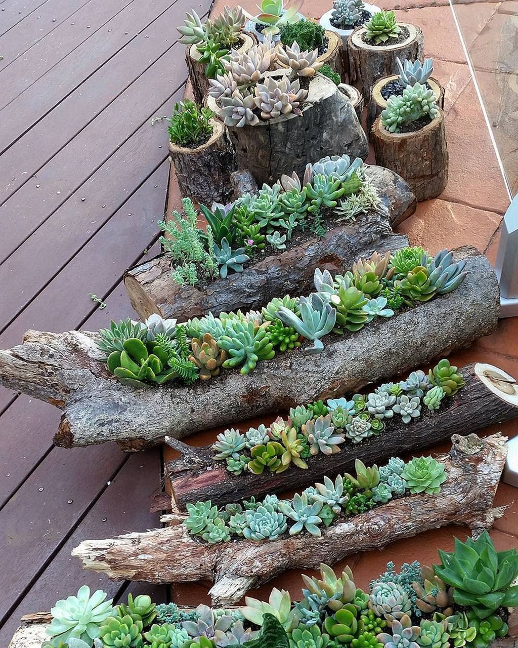 Beautiful Outdoor Succulent Planter Ideas 20