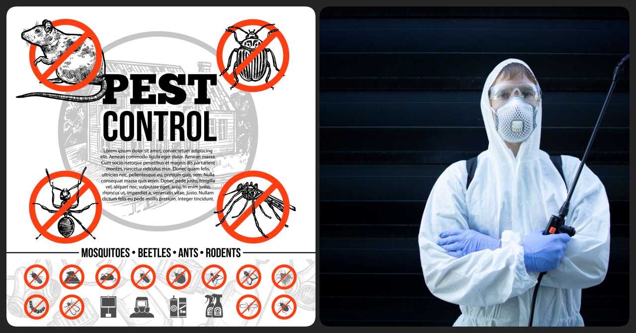 20 Best Pest Control Services in Malaysia