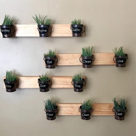 kitchen wall mounted herbs growing pots