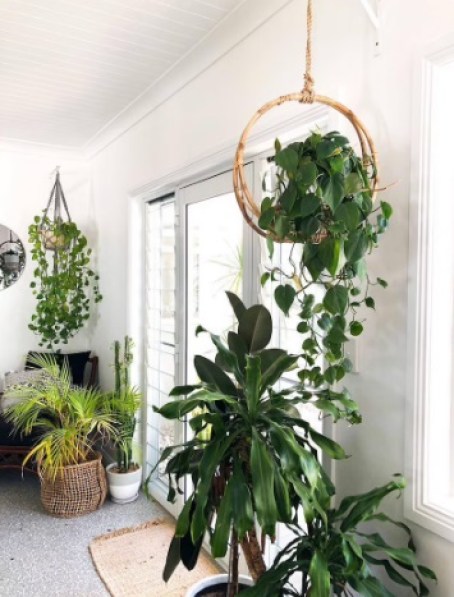 Rattan plant hanger