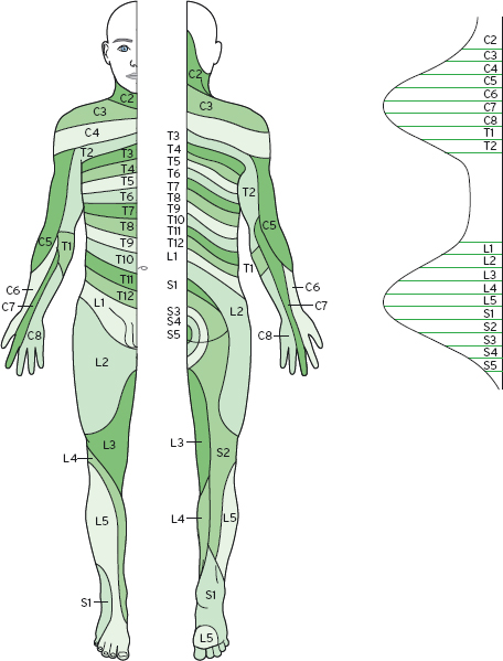 Neurological observations and examination techniques | Nurse Key